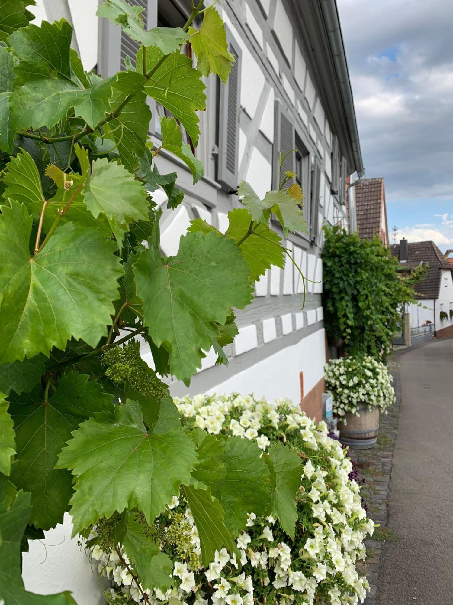 Ferienwohnung Sambachhaus Gleiszellen-Gleishorbach Exterior foto