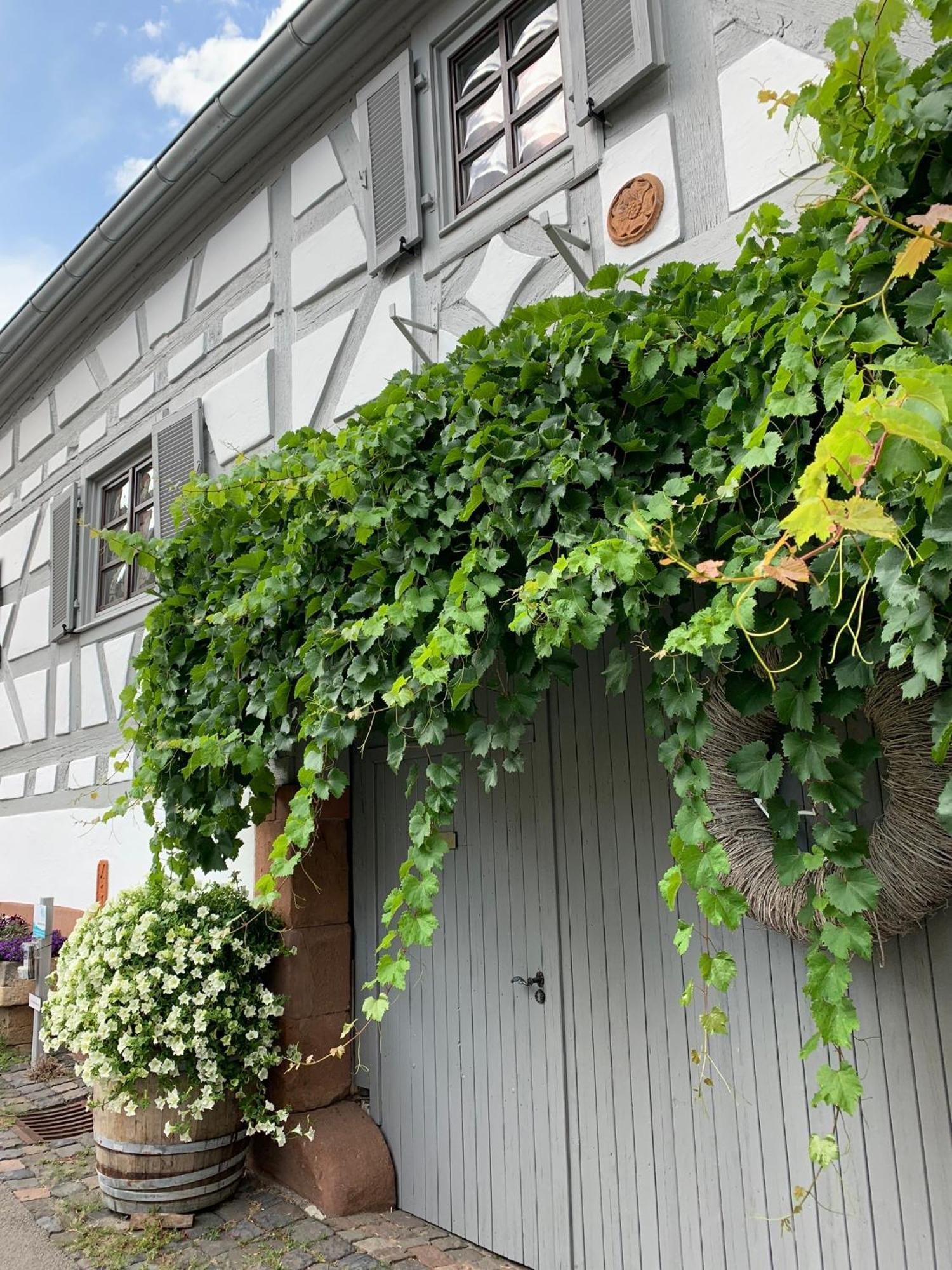 Ferienwohnung Sambachhaus Gleiszellen-Gleishorbach Exterior foto